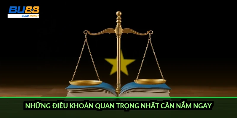 Những điều khoản quan trọng nhất cần nắm ngay
