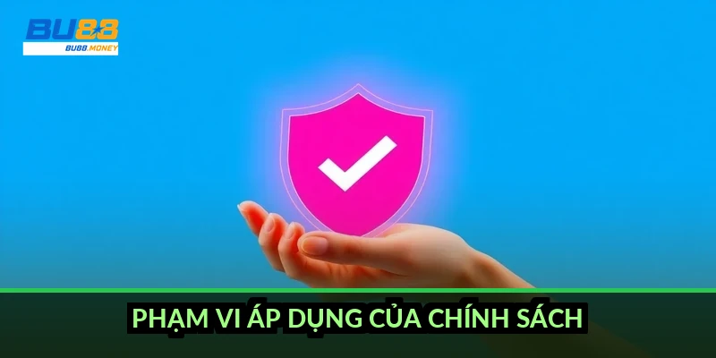 Phạm vi áp dụng của chính sách