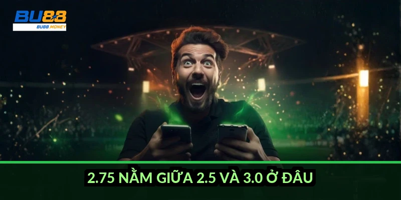 2.75 nằm giữa 2.5 và 3.0 ở đâu?