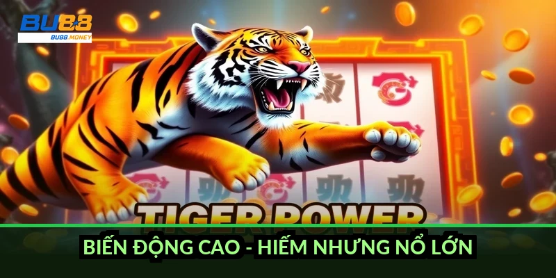 Biến động cao - hiếm nhưng nổ lớn