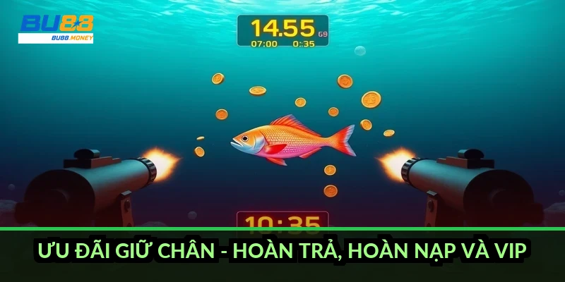 Ưu đãi giữ chân - hoàn trả, hoàn nạp và VIP