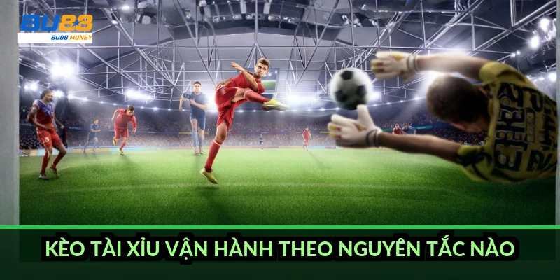 Kèo tài xỉu vận hành theo nguyên tắc nào?